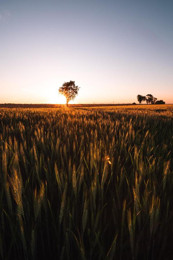 Appartamento Annesca - Delta Del Po Porto Tolle Exteriér fotografie